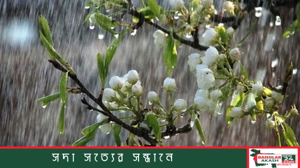 মেঘলা আকাশে রাজধানীর সড়ক ও হালকা বৃষ্টিতে ভিজে যাওয়া পথচারীদের দৃশ্য।