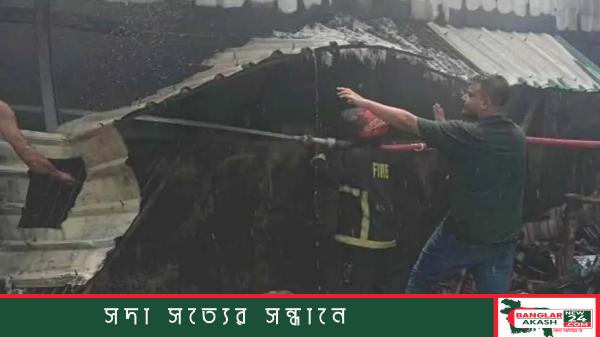 বাসাবোতে ফায়ার সার্ভিসের কর্মীরা তুলার গোডাউনের আগুন নেভানোর কাজ করছেন।