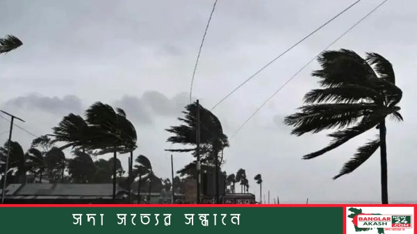 মেঘলা আকাশ ও নদীর পানিতে সংকেতবাহী পতাকাসহ নদীবন্দরের প্রতীকী দৃশ্য।