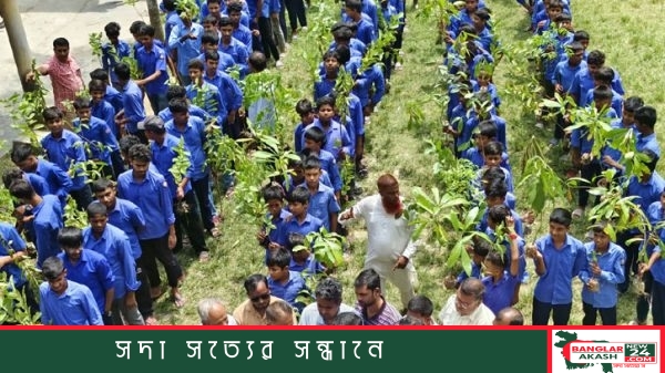 সিংড়ায় শিক্ষার্থীদের হাতে বসুন্ধরা শুভসংঘের চারা গাছ তুলে দিচ্ছেন অতিথিরা