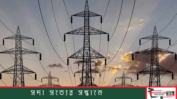 বিদ্যুতের খুঁটিতে পল্লী বিদ্যুতের কর্মীদের রক্ষণাবেক্ষণ কাজের চিত্র