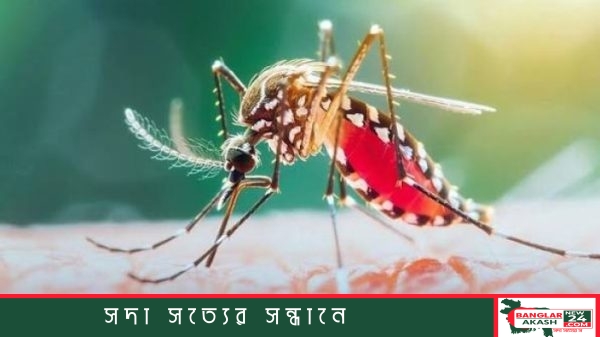 একটি হাসপাতালের ডেঙ্গু ওয়ার্ডের দৃশ্য, যেখানে চিকিৎসাধীন রোগীদের মশারি টাঙিয়ে রাখা হয়েছে এবং পাশে ঝুলছে ডেঙ্গু সচেতনতামূলক চার্ট।