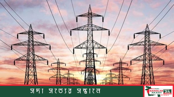 বিদ্যুৎ বিতরণ লাইনের খুঁটিতে কাজ করছেন পল্লী বিদ্যুতের টেকনিশিয়ান।