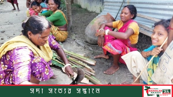 রংপুরের পীরগঞ্জে অন্যের ধানখেতে কৃষিশ্রমিকের কাজ করছেন ওঁরাও সম্প্রদায়ের এক প্রবীণ দম্পতি।