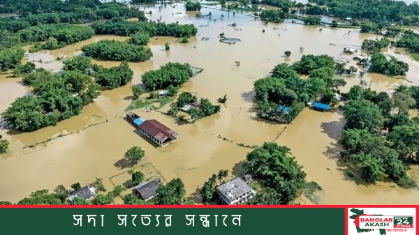 ভারতের আসামে বন্যায় পানিবন্দি মানুষ ও ত্রাণ বিতরণ শিবিরের দৃশ্য