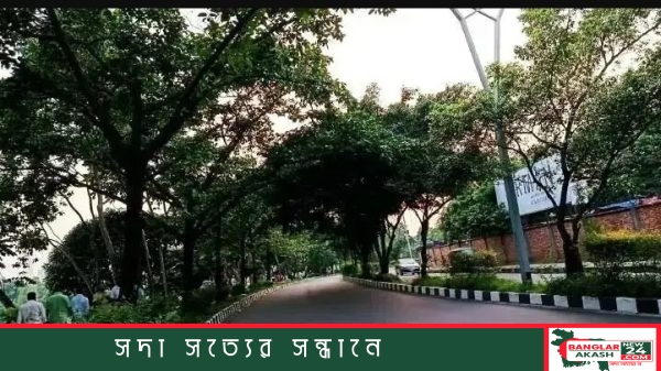 কুয়াশা ও ধোঁয়াশায় ঢাকা ঢাকার সড়ক ও দূষিত বাতাসের একটি প্রতীকী চিত্র