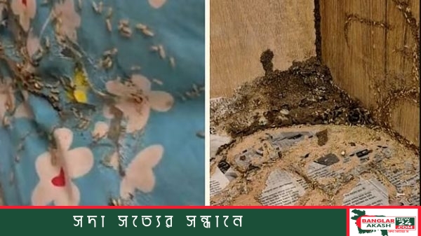 কুমিল্লা সার্কিট হাউসের প্রধান ভবন এবং জাতীয় সংসদের বিরোধীদলীয় উপনেতা সৈয়দ আবদুল্লাহ মোহাম্মদ তাহেরের কোলাজ ছবি।