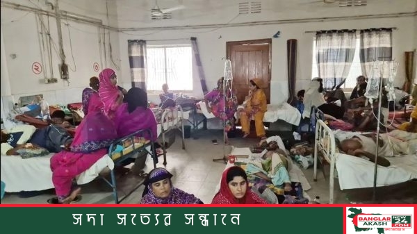 রাজবাড়ী সদর হাসপাতালে চিকিৎসাধীন ডেঙ্গু রোগী এবং মশক নিধন অভিযানের প্রতীকী ছবি।